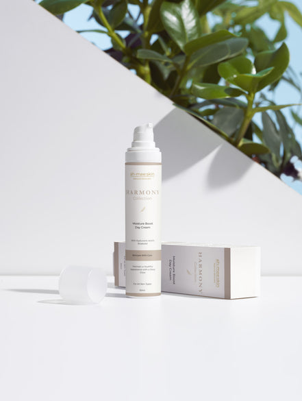 Moisture Boost Day Cream