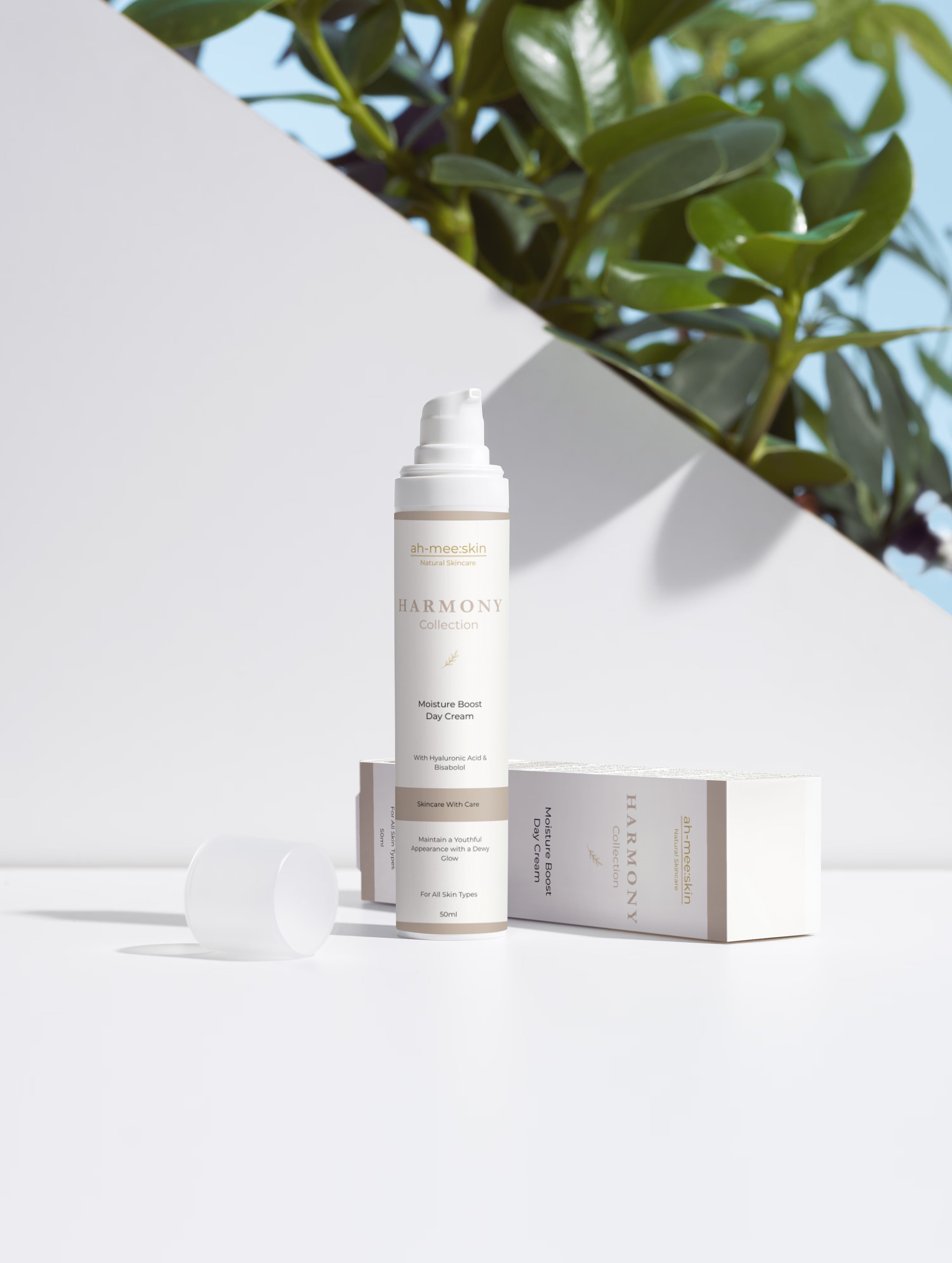 Moisture Boost Day Cream